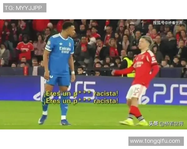 足球抢号现象解析与对策探讨如何维护球迷权益与市场秩序